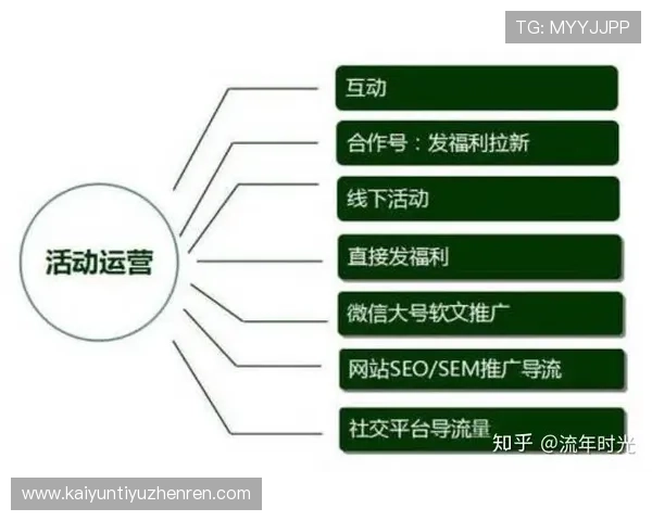 开云KY数字站提升数据分析能力助力精准营销策略制定