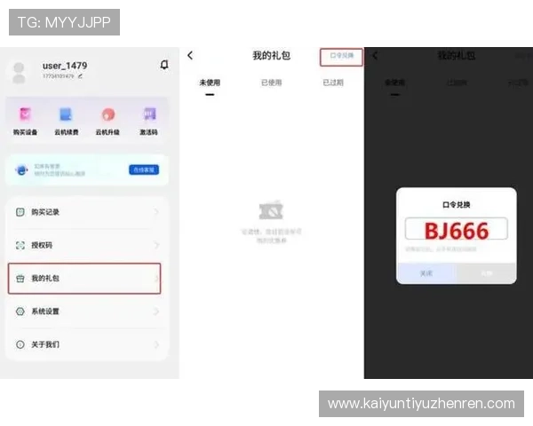 开云手机在线入口官方平台，提供多样化的登录方式和服务