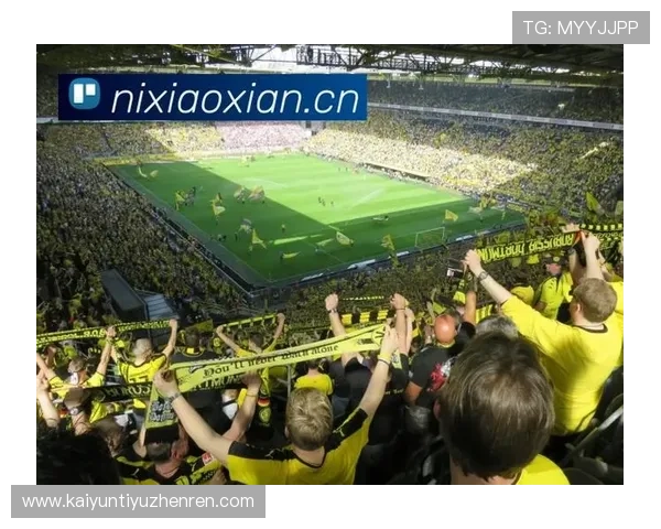 开云体育在线：丰富的体育赛事资源满足不同年龄段用户的观看偏好