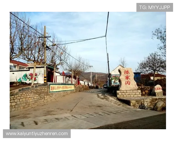 深度解析开云直播体育在线的技术架构与性能优势